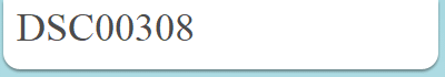DSC00308