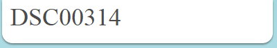 DSC00314