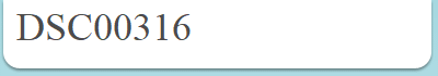 DSC00316