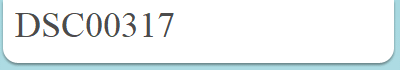 DSC00317