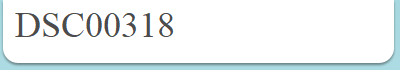 DSC00318