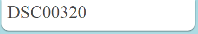 DSC00320