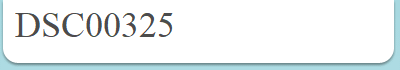 DSC00325