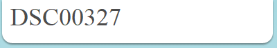 DSC00327