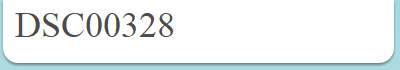 DSC00328