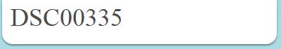 DSC00335