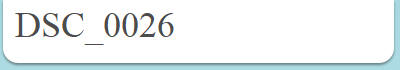 DSC_0026