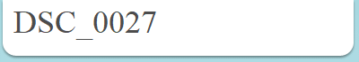 DSC_0027