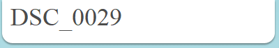 DSC_0029
