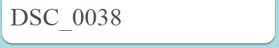DSC_0038