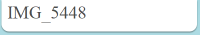 IMG_5448