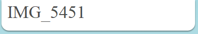 IMG_5451