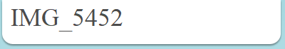 IMG_5452