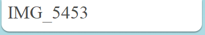IMG_5453