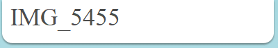IMG_5455