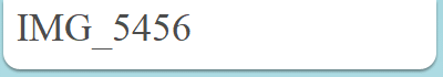 IMG_5456